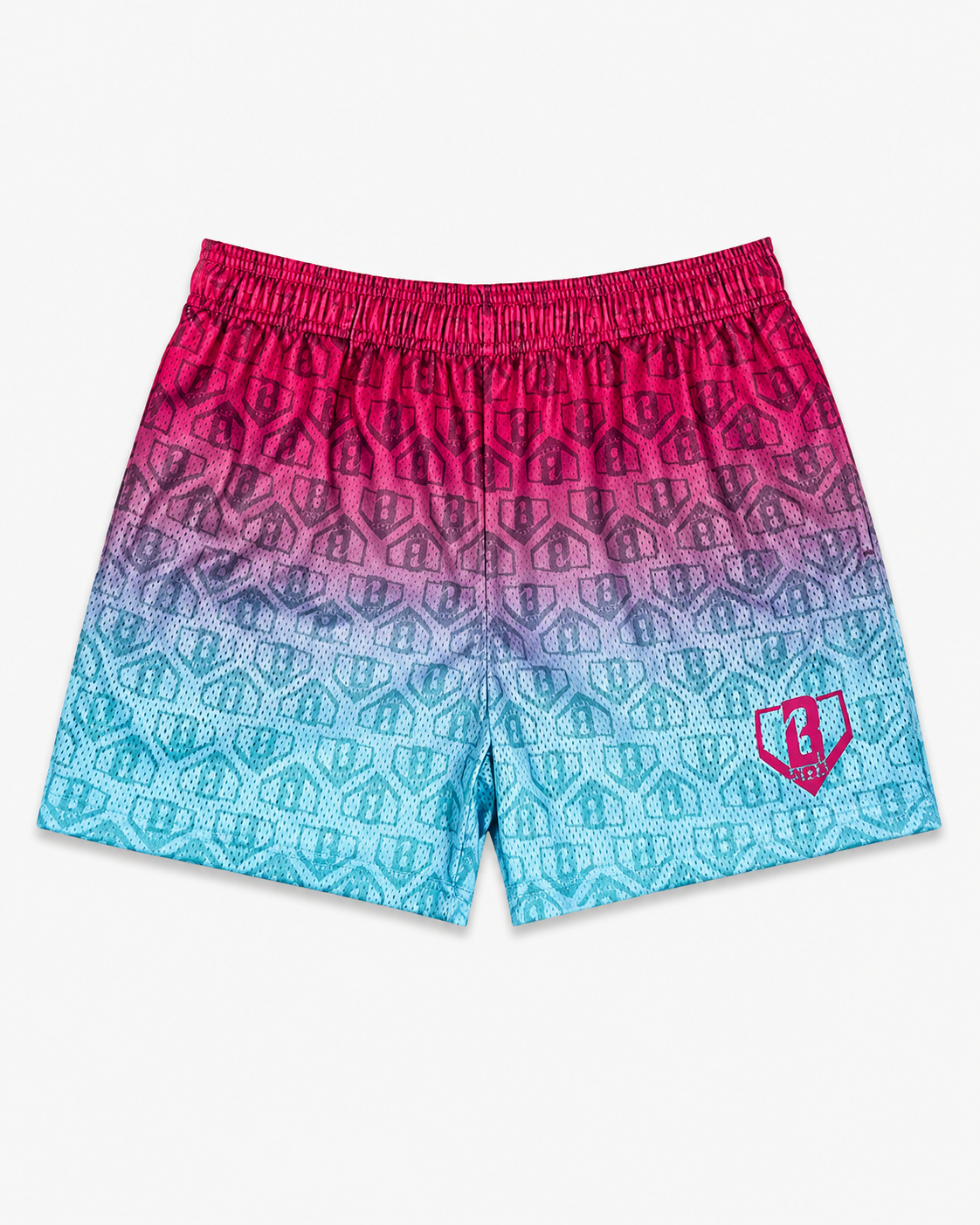 Curve Fit Printed Mesh Shorts for Women
